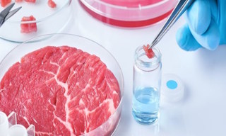 Лабораторный анализ пищевых продуктов по СанПиН в Камне-на-Оби в октябре
