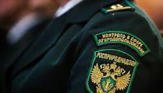 Подготовка к проверке Росприроднадзора в Камне-на-Оби от ПромМир-Кно, стоимость услуги от 20300 руб.